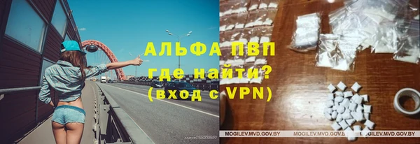 дживик Инсар