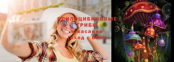 дживик Инсар