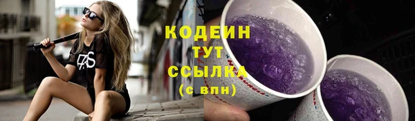 индика Заводоуковск