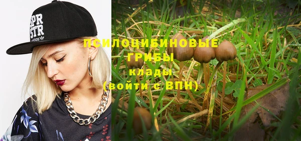 дживик Инсар