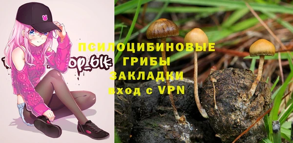 дживик Инсар