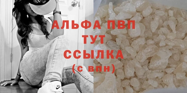дживик Инсар