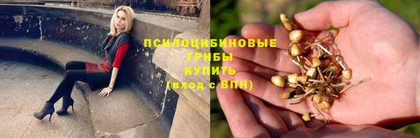 дживик Инсар