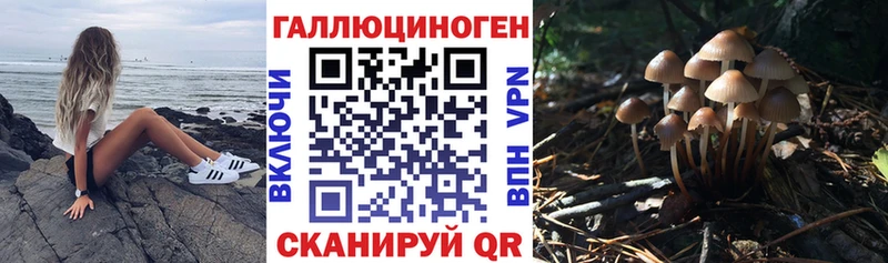 Купить где  Кохма  Галлюциногенные грибы Magic Shrooms 