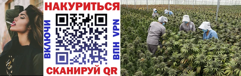 Купить где  Кохма  Марихуана тримм 